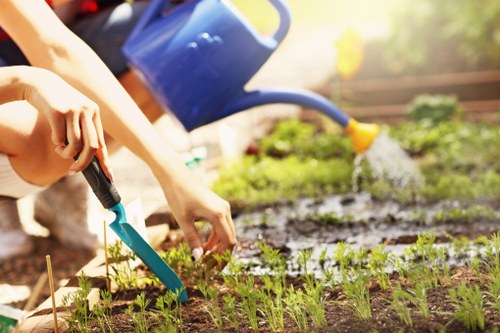 Garden drainage assessment for a waterlogged lawn in Hillingdon