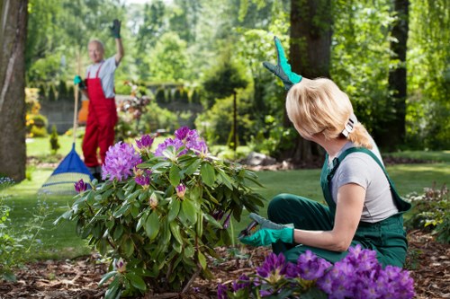 Landscaping team preparing a residential garden project