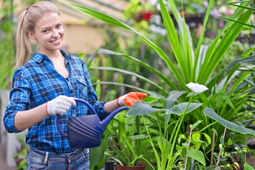 Modern hard landscaping features for a residential or commercial site in Hillingdon