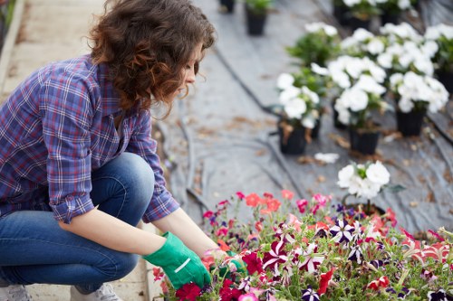 A professionally designed family garden with patio, lawn, and planting in Hillingdon