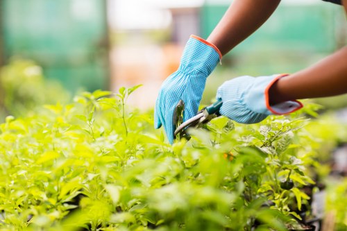 Payment options for Landscaping Hillingdon including card and PayPal