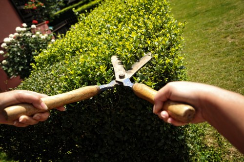 Transparent landscaping quote and pricing structure for Hillingdon property types