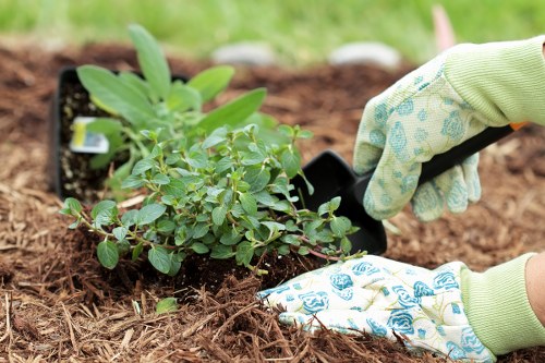 Rear garden landscaping concept in Hillingdon with lawn, shrubs, and patio space