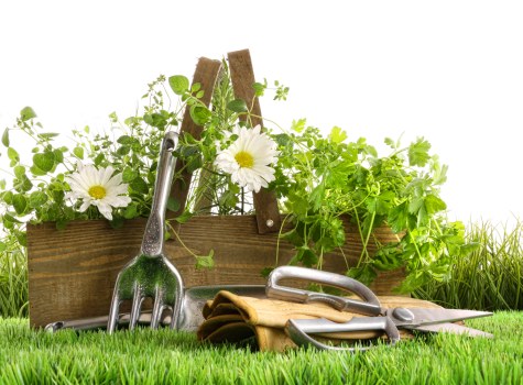 Garden landscaping quotation and booking paperwork