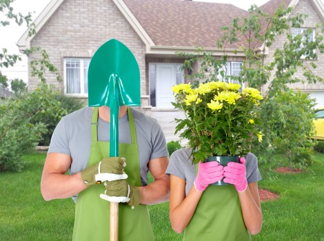 Custom garden layout and planting in Hillingdon