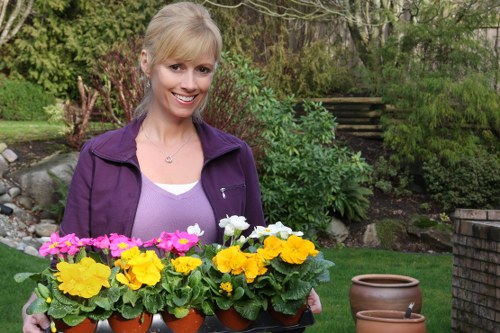 Outdoor lighting design for a Hillingdon property garden