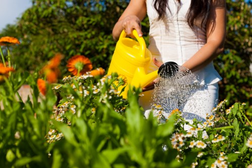 Low-maintenance landscaped garden makeover suitable for Hillingdon homes and businesses